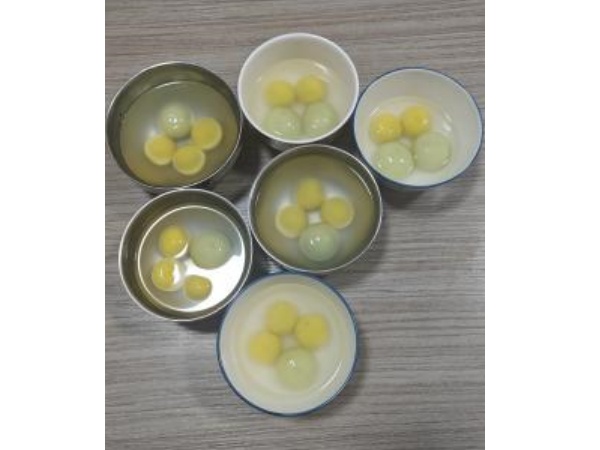 ランタンフェスティバルを祝い、一緒に満月を楽しんでください